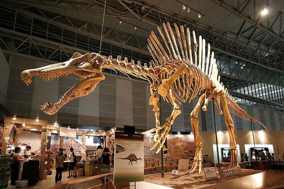 Jurský park Spinosaurus Tyranosaurus Rex souboj predátorů