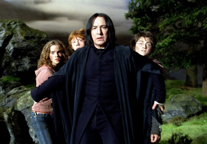 Severus Snape Harry Potter Ron Hermiona